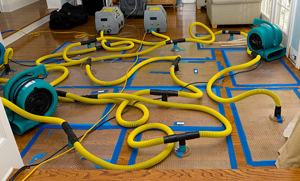 Professional Water Damage Repair technician working in Amenia, ND
